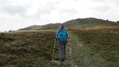 Sue Paterson; Channel Islands; Herm