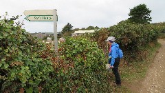 Ruth Bennett McDougal Dorrough; 
sign Sark Henge