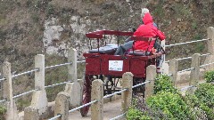 horse cart; Channel Islands; Sark