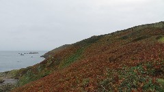 Channel Islands; Sark