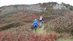 Ruth Bennett McDougal Dorrough; Sue Paterson; Channel Islands; Sark