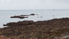 Channel Islands; Alderney
