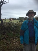 Guernsey cow; Dan Dorrough; Channel Islands; Sark