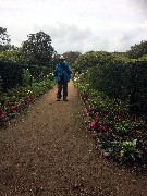 Dan Dorrough; La Seigneurie garden center; Sark; Channel Islands
