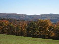 near Moose Lodge