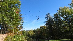 Zipline; Bristol Mountain Ski Resort
