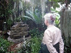 Ruth Bennett McDougal Dorrough; Highland Park Conservatory Rochester