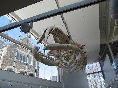 Trips; Day_Trips; Museum Earth Ithaca