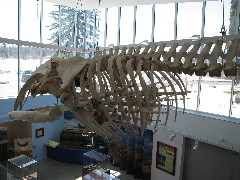 Trips; Day_Trips; Museum Earth Ithaca