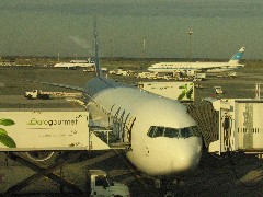 JFK airport; plane to Chile