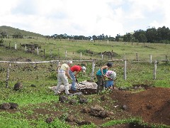 Easter Island; Charlies Site
