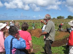 Charley; Easter Island;