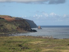 Easter Island; Rano Raraku; Ahu Tongariki