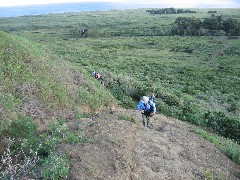 Easter Island; Rano Raraku