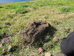 Easter Island; Vinapu;