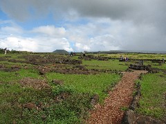 Easter Island; Papa Vaka