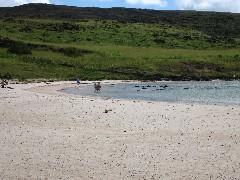 Easter Island; Anakena Beach