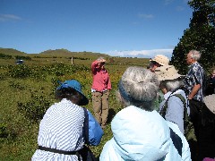 Brigid Mulloy; Easter Island; Ahu Akivi