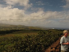 Linda Jasper; Easter Island; Orongo