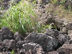 Easter Island; Elder Hostel Service Work; Our Cave