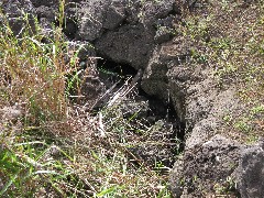 Easter Island; Elder Hostel Service Work; Our Cave