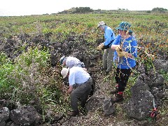 Ruth Bennett McDougal Dorrough; Ron Wise; Marcia Blacklin; Joan Mulholland; Easter Island; Elder Hostel Service Work; Our Cave