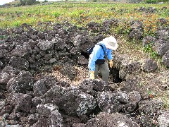 Marcia Blacklin; Easter Island; Elder Hostel Service Work; Our Cave