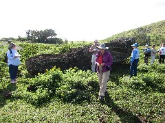 Easter Island; Elder Hostel Service Work; Moai