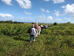 Easter Island; Elder Hostel Service Work; Moai