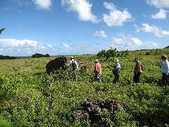 Easter Island; Elder Hostel Service Work; Moai