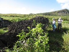 Ruth Bennett McDougal Dorrough; Ron Wise; Easter Island; Elder Hostel Service Work; our Moai