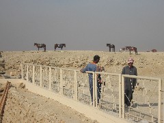 Trips; Egypt; Step Pyramid
