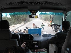 Trips; Egypt; Cairo; sheep