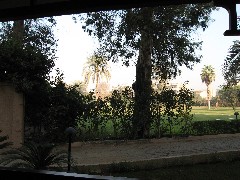 Trips; Egypt; Hotel Mena House