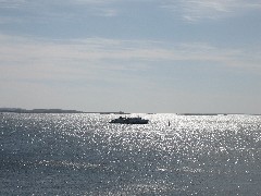 Trips; Egypt