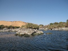Trips; Egypt; Lunch Basma Outdoor Restaurant; Boat Ride Basma Restaurant; Nile River