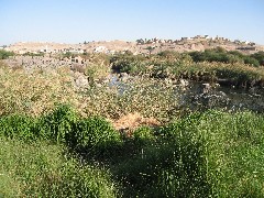 Trips; Egypt; View from Basma Outdoor Restaurant
