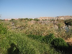 Trips; Egypt; View from Basma Outdoor Restaurant
