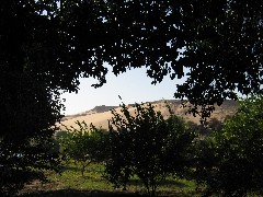 Trips; Egypt; View from Basma Outdoor Restaurant