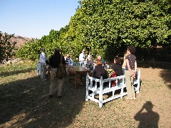The Bule Team; Trips; Egypt; Lunch Basma Outdoor Restaurant