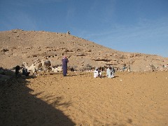 Trips; Egypt; Camel Ride