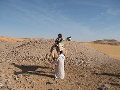 Patti Heien; Trips; Egypt; Camel Ride