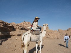 Djenane Batanouni; Trips; Egypt; Camel Ride