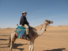 Dan Dorrough; Trips; Egypt; Camel Ride
