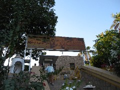 Trips; Egypt; Botanical Gardens