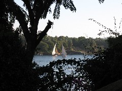 Trips; Egypt; Botanical Gardens; felluca sail boats