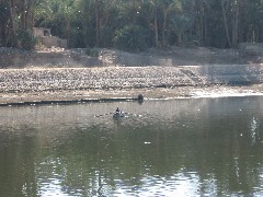 Trips; Egypt; Nile River from Esna Luxor