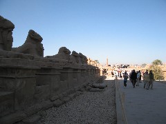 Trips; Egypt; Karnak Luxor Temples