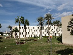 Trips; Egypt; Movenpick Hotel