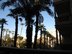 Trips; Egypt; New Winter Hotel Luxor